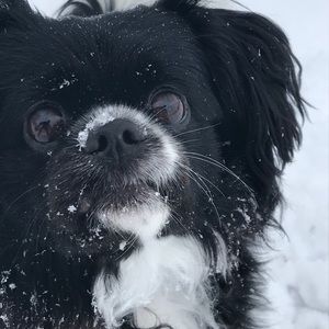 Meet your Posher, Hallie